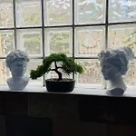 Michelangelo Βίλα