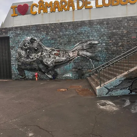 Michelangelo * Câmara de Lobos