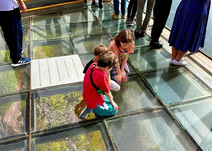 فيلة Michelangelo Câmara de Lobos