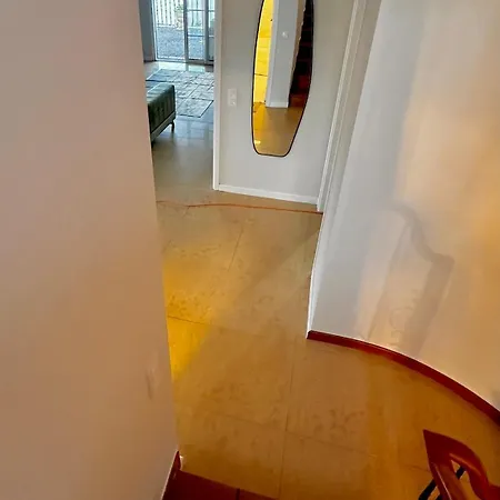 Michelangelo * 카메라데로보스