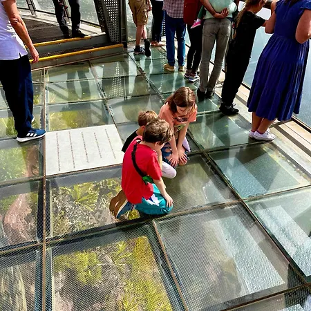 빌라 Michelangelo 카메라데로보스