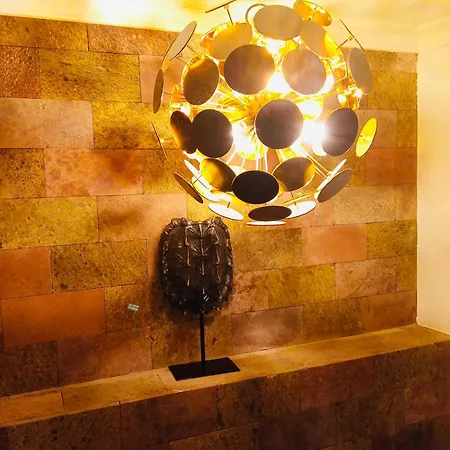 Michelangelo 빌라 카메라데로보스