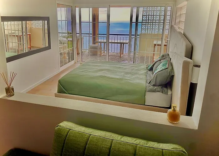 Michelangelo カマラ・デ・ロボス