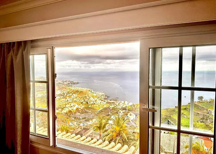 Michelangelo 卡马拉-德洛布什