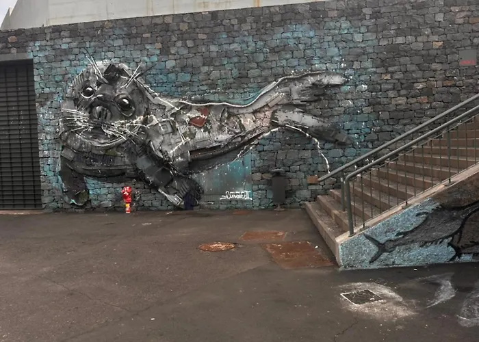 Michelangelo * Câmara de Lobos